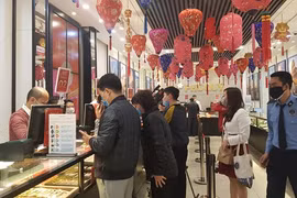 11月15日上午越南国内黄金价格下调20万越盾