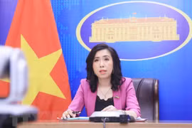 越南外交部发言人就若干国际事务阐明立场