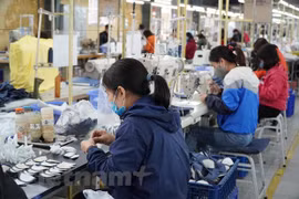 外国专家：贸易自由化对越南的成功扮演着重要角色