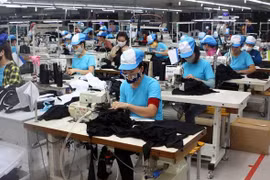 加拿大向平阳省受新冠肺炎疫情影响的女性移居劳动者提供紧急支持