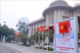 印度政客：越南共产党是越南民族的真正代表 