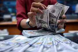 20日上午越盾对美元汇率中间价上调8越盾