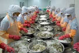 力争至2045年越南跻身世界三大水产品出口国名单