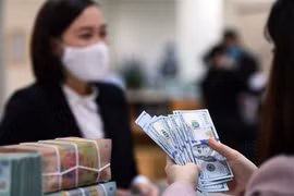 10月26日上午越盾对美元汇率中间价上调7越盾
