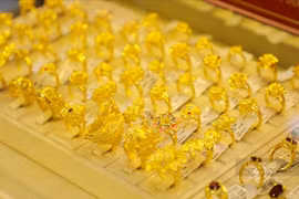 今日上午越南国内市场黄金价格稳定在5500万越盾以上