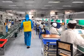 北江省逐步实现稳生产稳防疫双重目标
