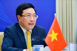 东盟外长非正式会议：越南与各国携手击退疫情