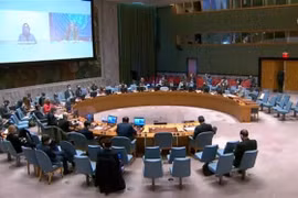 越南支持联合国安理会进行改革