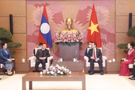 越南国会主席王廷惠与老挝国会主席赛宋蓬·丰威汉举行会谈