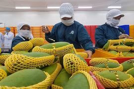2021年前5个月越南蔬果出口额达17.7亿美元