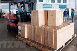 新冠肺炎疫情：胡志明市获赠更多医疗设备