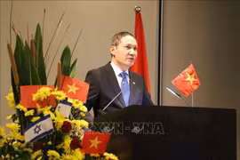 越南驻外大使馆纷纷举行迎春活动