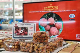 线上贸促活动：为越南商品通往世界开启“绿色通道”