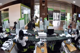 2021年越南权威上市公司50强出炉