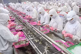 创造附加值 把越南建设成为世界一流水产品加工中心