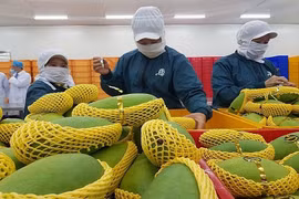 2021年越南果蔬出口额有望突破40亿美元大关