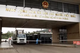 提议为跨境货车司机接种新冠疫苗
