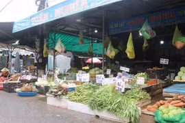  新冠肺炎疫情：胡志明市传统集市重新开放 优先销售食品及生活必需品
