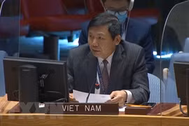 邓廷贵大使：越南提升了在联合国的多边外交层次和水平