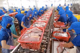 2021年越南水产品出口额约达近89亿美元