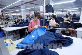 EVFTA—发挥越南企业潜力的催化剂