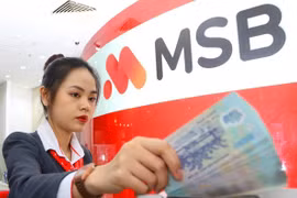 12月6日上午越盾对美元汇率中间价下调48越盾