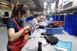 外交部发言人：越南政府一直为企业和外国投资者创造最为便利条件