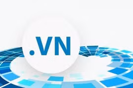 同塔省首个.vn国家域名注册处正式揭牌投运