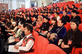 为少数民族代表进入国会创造便利条件