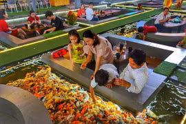 胡志明市鱼塘咖啡厅引外媒关注