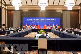越南出席东盟—中国特别外长会