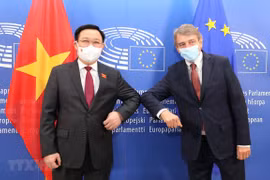 越南国会主席王廷惠与欧洲议会主席举行会谈