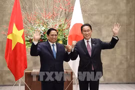 全国对外工作会议：日本外务副大臣对日越关系给予肯定