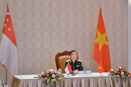 第12次越南和新加坡国防务政策对话以视频形式举行