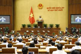 越南第十五届国会第一次会议：保持政府的组织机构不变