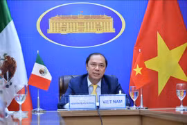 越南与墨西哥第六次政治磋商以视频形式举行