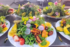 以大叻市蔬菜及鲜花为食料的100道佳肴即将亮相