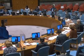 联合国安理会讨论新冠肺炎疫情对反恐造成的影响