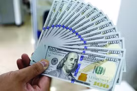 5月12日上午越盾对美元汇率中间价继续下调4越盾