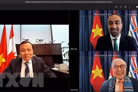 越南与加拿大促进各地方之间经济合作关系