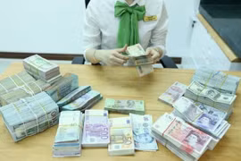 18日上午越盾对美元汇率中间价下调10越盾 