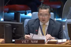 越南与联合国安理会：越南对非洲大湖区的局势表示担忧