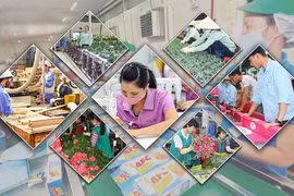 2021年越南GDP有望突破5000亿美元大关