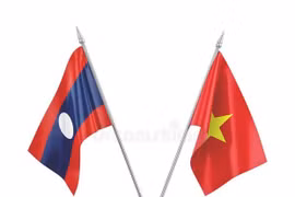 越南外交部代表团赴老挝驻越南大使馆庆祝国庆46周年