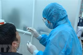 德国援助的19万套新冠病毒检测试剂盒已运抵越南