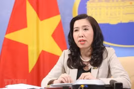 外交部例行新闻发布会：在黄沙群岛开展非法科学考察和科研活动是侵犯越南主权的行为