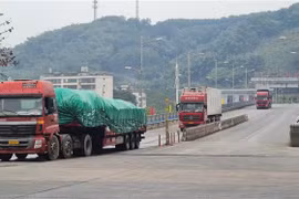 2021年伊始老街金城二号陆路国际口岸货物出口量达逾500吨