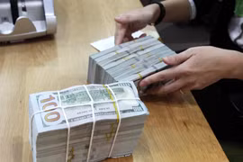 9月17日上午越盾对美元汇率中间价下调9越盾