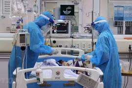 胡志明市需补充约7000名医务人员支援新冠患者治疗工作