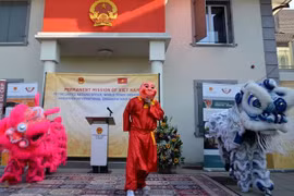 越南-瑞士文化日：为两国增进民间交流搭建平台